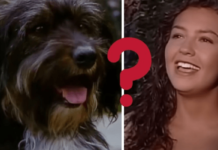 ¿Quién estaba detrás de la voz de pulgoso en Marimar?…¡Pa´ su mecha!