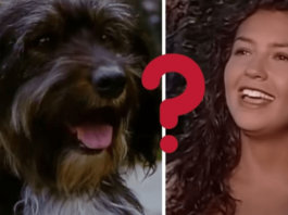 ¿Quién estaba detrás de la voz de pulgoso en Marimar?…¡Pa´ su mecha!