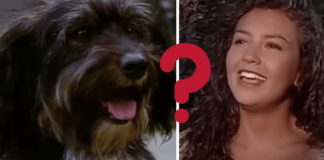 ¿Quién estaba detrás de la voz de pulgoso en Marimar?…¡Pa´ su mecha!