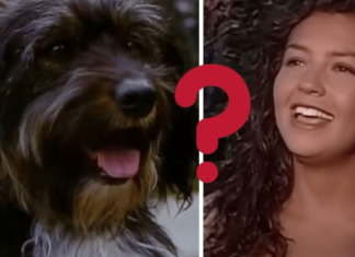 ¿Quién estaba detrás de la voz de pulgoso en Marimar?…¡Pa´ su mecha!