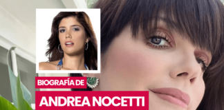 Biografía de Andrea Nocetti
