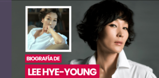 Biografia de Lee Hye-young