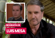 Biografia de Luis Mesa