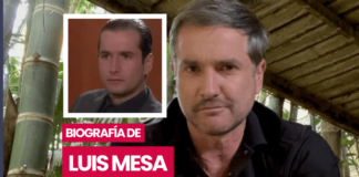 Biografia de Luis Mesa